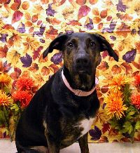 Zoey H Thanks 10.jpg